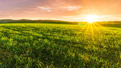 green picturesque farmland landscape with spring field covered with green salad grass with countryside view on rstic farm hills and amazing cloudy sunset on background