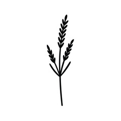 Lavender Sprig Nature Vector Silhouette
