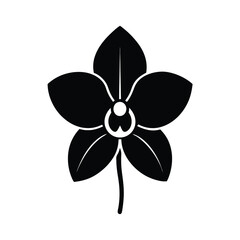 Orchid Bloom Elegant Vector Silhouette