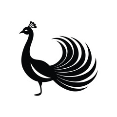 Peacock Spread Vibrant Vector Silhouette