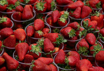 Close-up of ripe strawberries in transparent plastic cups on a red market stand. Fresh, juicy...