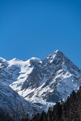 Obraz premium Majestic snow-capped mountain peaks towers above dense forest, contrasting against clear blue sky, showcasing nature's grandeur and tranquility.Karachay-Cherkessia. Dombay 2025.