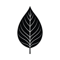 Leaf Organic Vein Vector Silhouette