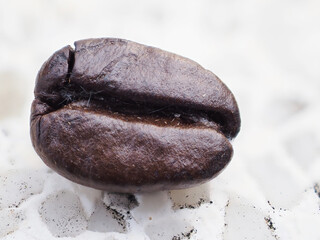 Freshly roasted brown coffee beans