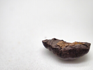 Freshly roasted brown coffee beans
