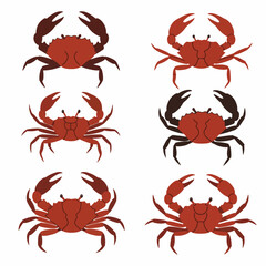 Crab Illustration Collection: A set of six vector illustrations depicting various poses of a red crab, showcasing its distinctive features in both red and black silhouettes.
