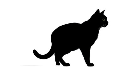 Obraz premium Big silhouette cat on white background
