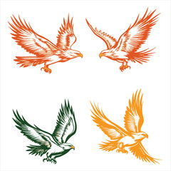 Stylized Eagle Vector Collection Featuring Four Different Color Variations And Flight Poses On Isolated White Background