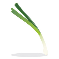 Vector illustration of green onion isolated on white background
