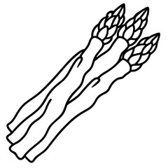 Asparagus line art vector