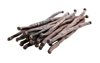 Dry vanilla beans isolated on white background.png