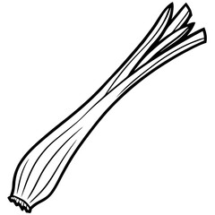 Leek line art vector