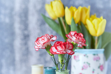Carnation flowers and yellow tulips on bright background	