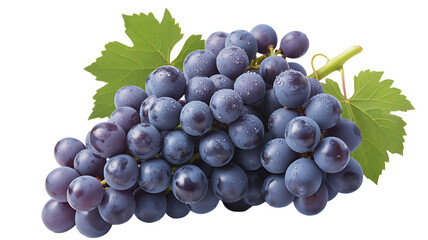 Fototapeta premium bunch of blue grapes