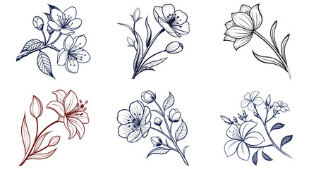 Fototapeta premium set of floral elements white background