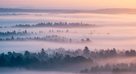 Serene Sunrise Misty Forest Landscape with Rolling Hills and Soft Pink Hues