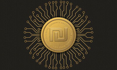 Shekel - Central Bank Digital Currency – Government-Issued Virtual Money and Financial Regulation