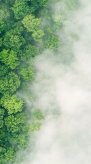 Aerial View of Dense Fog Drifting Through Lush Green Forest Canopy