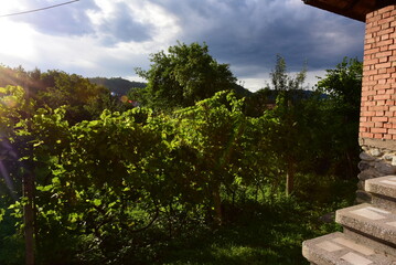 ancient ruins in the park