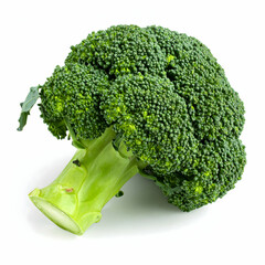 Fresh Broccoli: A vibrant, freshly harvested broccoli floret, a verdant emblem of healthy eating and culinary versatility, presents a visually captivating spectacle of organic goodness.