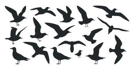 Obraz premium Collection of Various Seagull Silhouettes in Flight and at Rest