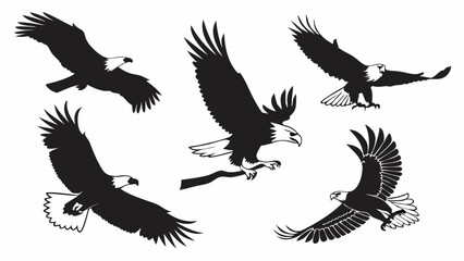 Obraz premium Majestic Bald Eagles in Flight Powerful Black and White Silhouettes of Soaring Birds Wings Spread Wide Sharp Details