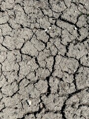 Dehydrated dry cracked soil texture and ground background. Top view. Ecology theme