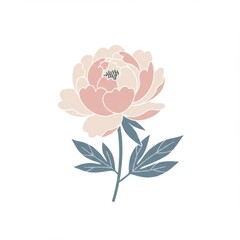 Fototapeta premium Pastel Pink Peony Flower with Gray Leaves Illustration