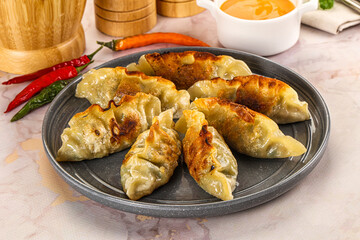 Japanese fried Gyoza stuffed dumplings