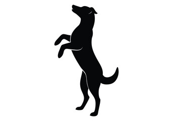 Dog Standing On Hind Legs Begging Silhouette