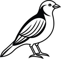 hand drawn vector illustration of a bird
