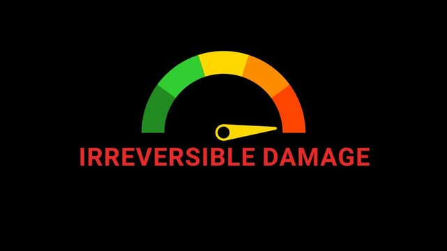 Irreversible Damage Risk meter Animation