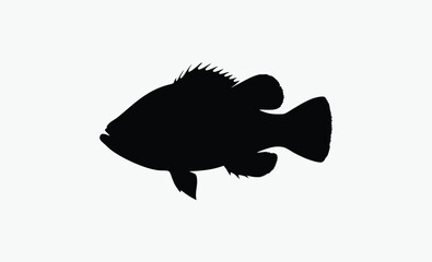 crappie fish silhouette, rounded fish body, spiny fin detail, fan tail outline, black white crappie, freshwater fish vector, side view fish