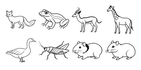 farm animals collection