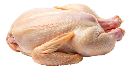 Whole raw chicken, ready for roasting, isolated against a stark black backdrop