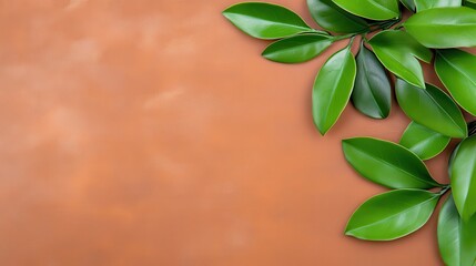 Fototapeta premium Green Leaves on Brown Textured Background