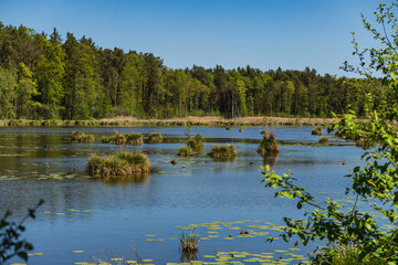 Lake landscape with clumps of grass protruding above the water surface