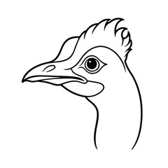 Black and white vector illustration of a cassowary bird head profile isolated on white background