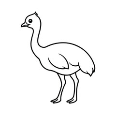 Simple line art illustration of a cute emu bird standing isolated on white background