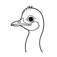 Detailed outline of an ostrich head featuring eye beak and neck isolated on a white background