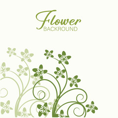 Elegant Summer Floral Line Art Design Delicate Flowers Leaves and Botanical Elements