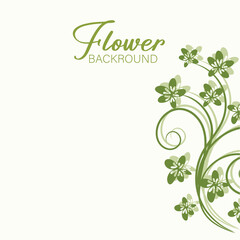 Summer Floral Line Art Design Elegant Botanical Illustrations for Print and Web