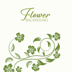 Green nature design with floral leaf vector pattern in a decorative frame