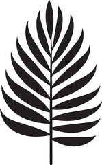 Dried Palm Leaf Silhouette Vector – Elegant Black Botanical Illustration