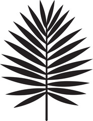 Dried Palm Leaf Silhouette Vector – Elegant Black Botanical Illustration