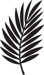 Dried Palm Leaf Silhouette Vector – Elegant Black Botanical Illustration