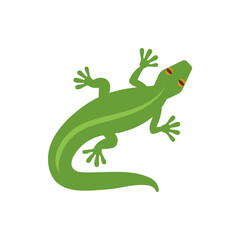 Illustration of a green lizard with orange eyes and visible toes, positioned diagonally on a white background