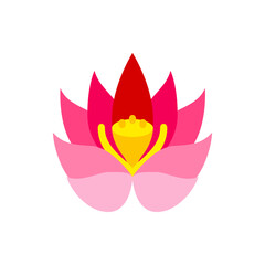 Illustration of a vibrant lotus flower with pink petals and a red center against a white background design