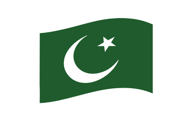 vector illustration, country flag, Pakistan flag