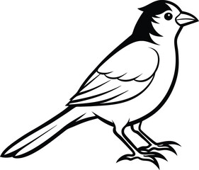 vector illustration of a bird